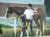 2022年札幌記念の1～3着馬 その後の成績  1着　ジャックドール号&rarr;2023年大阪杯優勝  2着　パンサラッサ号&rarr;2023年サウジカップ優勝  3着　ウインマリリン号&rarr;2022年香港ヴァーズ優勝