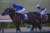 タイセイビジョン&hellip;