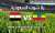 EXCLUSIVE LIVE  FOOT BALL MACHS  #مصر_أثيوبيا  #تصفيات_كأس_أمم_أفريقيا  ?????  \u2935\ufe0f \u2935\ufe0f ((