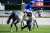 東京10R クロッカスS(L)  6  #ヤクシマ   #ルメール 騎手は三連勝 本日5勝   #東京競馬場