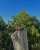 Let the sun’s rays guide your path\ud83e\udd0d\u2728