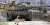 Si esta foto fue tomada en Ucrania y el tanque fue ruso, el ni&ntilde;o ser&iacute;a llamado 'luchador por la libertad' Pero como se tom&oacute; en Palestina y el tanque es israel&iacute;, el ni&ntilde;o es llamado 'terrorista'.