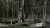 Oh my god what am I looking at!?  #Seasons6 #TheWalkingDead