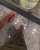 Photo by IBTISSAM WARDI on February 01, 2024. May be an image of anklet.