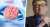 USDA Approves Bill Gates Lab-Grown Meat For Sale Despite Causing Turbo Cancers In Human Subjects: