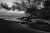 art for the eyes!    #photography #photographylovers #photographysouls #photographyeveryday #photographyislife #photographylover #photographyislifee #photographylife #photographyart #photographyoftheday #photographyy #photographylove #photographyaddi