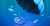 CRYPTO AIRDROP LIVE    Check Eligibility    LINK:     #cryptonews #Binance $ADA #NFT #APE #TrustWallet #Airdrop #bitcoin $USDT #PSYOP #NFTs #BAYC #ledger #USDC #PEPE #TipCoin #BTC $BNB $SHIB #Coinbase $MATIC #OKX #ltc $LDO #SEI