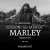 REST IN PEACE   Musician Joseph &ldquo;Jo Mersa&rdquo; Marley, grandson of Bob Marley and a well-regarded reggae artist in his own right, has died at the age of 31.  READ: