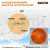 Зеленский: 'Россия готовит теракт на Запорожской атомной станции с выбросом радиации, они все подготовили для этого.'