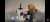 Aqu&iacute; Tae nos dice que los conceptos de las fotos fuerom porque conoce a sus VIPs y saben que aman verlo sin camiseta.  Y el da al pueblo lo que el pueblo pide.   VIBE IS OUT NOW  #TAEYANG_VIBE  #TAEYANG  #BIGBANG  @Realtaeyang