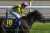 Stars on Earth with jockey Christophe Lemaire won Yushun Himba (Japanese Oaks). #スターズオンアース  #ルメール騎手  #オークス