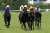 North Bridge with jockey Yasunari Iwata won Epsom Cup. #ノースブリッジ  #岩田康誠  #エプソムカップ