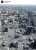 This image of ISRAEL&rsquo;S TERROR on Gaza went viral this week.   The photo&rsquo;s photographer Roshdi Sarraj, has since been killed by an Israeli airstrike.