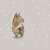 今週は日経新春杯。いつも以上に全人馬の無事を意識してしまう、そんな１週間です。  今週末も何事もなく楽しいレースが見れますように
