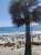 One reason SoCal had never taken off as a tech center is the weather is too nice
