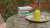 This month for TOAST, I wrote a reading diary. Click here to read!