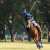 And with that the IPA NATIONAL POLO CHAMPIONSHIP (Open) 2023 comes to an end. A week of power-packed performance, intense play, and dramatic excitement, and above it all, a wonderful display of polo. Kudos to the all the players who participated.  #p