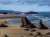 The southern Oregon coast. #BandonOregon #PacificOcean #photographer #photography #MondayMood