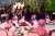 Jamuan santap malam untuk para pemimpin negara G20, organisasi internasional, dan undangan lainnya digelar semalam di pelataran patung Garuda Wisnu Kencana.   Saya dan Ibu Negara menyambut tamu-tamu terhormat yang datang dan langsung berfoto bersama 