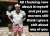I cannot stand this utter waste of skin and bone. That is it. Simple. He disgusts me. #BorisTheLiar #BorisJohnson4Prison #borisjohnsondisgustsme #followbackfriday