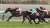 今週末は、中山記念(GII)！  2016年の優勝馬は、#ドゥラメンテ。現役最後の勝利がこの中山記念だったよ。昨年(2022年)は #タイトルホルダー をはじめ、子供たちが「GI 6勝」と大活躍！きっと今は天国で大喜びしているね。  #JRA #JRAFUN #中山記念 #Ｍ・デムーロ