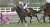 #サウンドビバーチェ が、阪神牝馬ステークス(GII)を優勝！  いざ、春の女王決定戦へ！本番が楽しみな勝利となったね。重賞初制覇おめでとう！  #JRA #JRAFUN #阪神牝馬ステークス #浜中俊