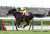 【#フィリーズレビュー】阪神競馬場で行われたフィリーズレビュー（GII）は吉田隼人騎手騎乗の2番人気シングザットソングが直線で抜け出して重賞初制覇！ 2着ムーンプローブ、3着ジューンオレンジまでが桜花賞の優先出走権を獲得です！