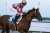 【ドバイゴールデンシャヒーン】レース後のリメイクら関係者コメントです！ 武豊騎手「直線では良い脚を使ってくれましたが、あと少しでした」   ドバイワールドカップデー特集（2023）