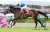 【#阪神牝馬ステークス】阪神競馬場で行われた阪神牝馬ステークス（GII）は浜中俊騎手騎乗の6番人気サウンドビバーチェが重賞初制覇！ ヴィクトリアMの優先出走権を獲得しました！ #阪神牝馬S