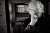 Siento mucho el fallecimiento del director de cine Carlos Saura. Iba a recibir el Goya de Honor en esta edici&oacute;n como homenaje a su talento y trayectoria.  Ma&ntilde;ana todos conmemoraremos su memoria y figura en Sevilla.  Descanse en paz.