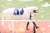 ソダシちゃん、お誕生日おめでとう （2022.11.20 マイルCS パドック） #ソダシ生誕祭2023