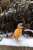 De la neiiiiige &agrave; Nantes !!!   #DinoEnPull
