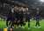 Arteta: 'There is still a long, long way to go. My excitement comes when I go into the dressing room and the players are talking about what they should have done better.'   (@SamJDean )