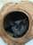 人相悪いよ？ 黒猫あるあるで色が違う  #猫 #子猫 #黒猫 #黒猫同盟 #猫のいる暮らし #猫のいる幸せ #cat