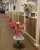 Best time of the day \ud83d\udc97 Feeding time at Sweden Arabian Stud together with Ofelia (But i think Serina had hope for a carrot \ud83e\udd55\ud83d\ude05)