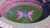 Quotekyle@SomeonesNewMuse&middot;Sep 28Ok that Stage Butterfly was everything!! Amazing setlist and flawless live vocals, no one else does it at this high level of production like Katy!!