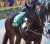 根岸ステークス　パドック ギルデッドミラー  #ギルデッドミラー  #根岸ステークス #根岸S #東京競馬場