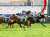 12月10日（土）中京11R#中日新聞杯 1着\u2460 #キラーアビリティ#団野大成 騎手5人気 2着\u246fマテンロウレオ横山典弘騎手4人気 3着\u2468アイコンテーラー菱田裕二騎手10人気 単勝\u2460760円 馬連\u2460－\u246f2,920円 馬単\u2460&rarr;\u246f5,770円 3連複\u2460－\u2468－\u246f34,010円 3連単\u2460&rarr;\u246f&rarr;\u2468151,620円