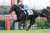 【偉大な兄姉の背を追って】 京都2歳Sに出走するグランヴィノスが勝てば、ハルーワスウィートの産駒から4頭目の重賞ウィナー誕生となります。ヴィルシーナ、シュヴァルグラン、ヴィブロスに続けるか注目です。 #競馬 #グランヴィノス #佐々木主浩