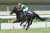 【先々まで注目のトライアル】 弥生賞 過去2年の連対馬 ・21年 1着タイトルホルダー(G1・3勝 2着シュネルマイスター(NHKマイルC) ・22年 1着アスクビクターモア(菊花賞) 2着ドウデュース(ダービー)  23年の連対馬は&hellip; #競馬 #弥生賞