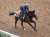 弥生賞 歴代勝ちタイムベスト5 1.59.9 マカヒキ(ダービー馬) 2.00.1 ウイニングチケット(ダービー馬) 2.00.4 タスティエーラ 2.00.5 コスモバルク(皐月賞、JC2着等) 2.00.5 アドマイヤオーラ(ダービー3着) 2.00.5 アスクビクターモア(菊花賞馬) #タスティエーラ #弥生賞