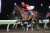 【砂の国でバースデーVへ】 本日3月25日は、日本時間の今夜、ドバイゴールデンシャヒーンに挑戦するレッドルゼル(16年3月25日生)、ゴドルフィンマイルに挑戦するバスラットレオン(18年3月25日生)の誕生日。バースデーVなるでしょうか。 #レッドルゼル #バスラットレオン