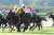\u246aシェーンプリマー 永野 \u246bブーケファロス 菅原明 \u246cアスクドリームモア 岩田康 \u246dヤクシマ 岩田望 \u246eノーブルラン 津村 \u246fスピードオブライト 石川 \u2470ロッソランパンテ 木幡巧 \u2471ロンドンプラン 松山 #競馬  #keiba #京王杯2歳S