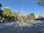 箱根駅伝 関東学生連合ぶっちぎり 頑張れー