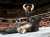 The betrayal by someone that Roman loved. OMG! THE PARALLEL! #RoyalRumble