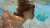 Сьогодні, 8 червня наша планета відзначає важливе екологічне свято - Всесвітній день океанів (World Oceans Day).