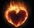 Elon Musk has changed like button  Goosebumps moment in stadium Vande mataram   #PAKvsAFG #ViratKohli???? #Gaza_Genocide #PalestinianGenocide #Dasara #LekePrabhuKaNaam BREAKING NEWS #Gaza_Genocide #पराग_देसाई  #mahanvami #BrandedFeatures #heartattack