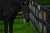 #ウイニングチケット  #AERU  なんか亡くなった時に画像UPするのはちょっと気が引けるけど、去年の夏に会いに行ったときのものを失礼します AERUのみんな大好きだから、チケゾーもタイムもいなくなってしまってすごく悲しい スズカ、長生きしてくれよ