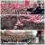 Devlet Bah&ccedil;eli burada Ter&ouml;ristlerle kahvaltı hayali kuranlar nerede    #SONDAKİKA  SE&Ccedil;TİK YİNE SE&Ccedil;ECEĞİZ #Kılı&ccedil;daroğlunaSoruyoruz #VatanaCanVereneKadro #Kadık&ouml;ydeSkandalVAR #FBvKAS Arda