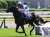 出遅れ、位置取り、距離、状態、原因は何なのか分かりませんが、今日は仕方ないですね。 武兄弟のG1制覇はいつかきっと実現するでしょう。 とりあえず今日は無事に回って来れて良かったです。 お疲れ様！  #武豊 #ウォーターナビレラ #オークス